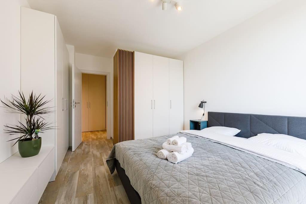 Luxury Apt. Near River & Parking Timişoara Exterior foto